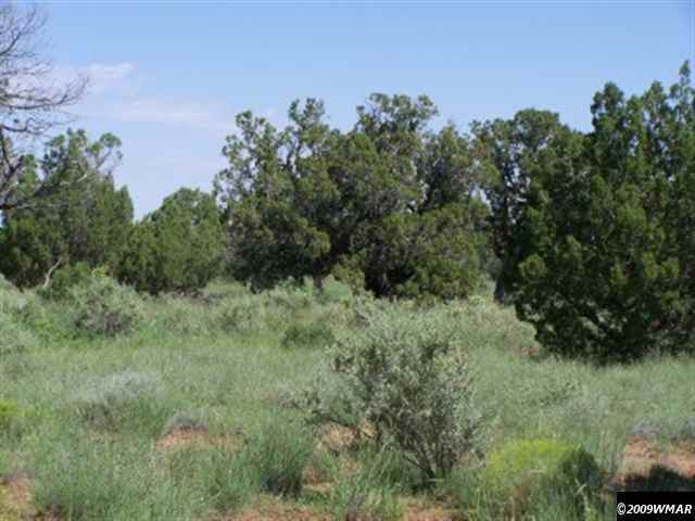 53 Acr 5270 Old Hunt Road Concho, AZ 85924 - Photo 3 of 4 a view of a lush green space