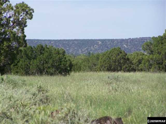 53 Acr 5270 Old Hunt Road Concho, AZ 85924 - Photo 4 of 4 a view of a field with an trees in the background