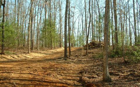 14 Lower Bear Paw Road Murphy, NC 28906 - Photo 1 of 1 Main View