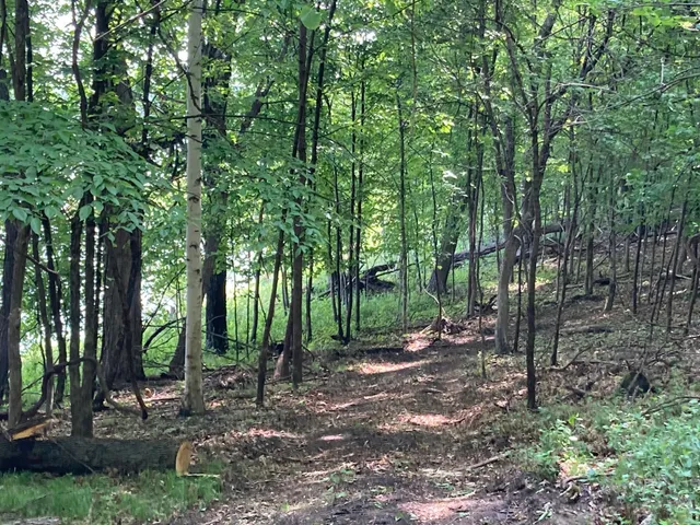 $699,900 | 0 200th St Lake Park, Lake Park, MN 56554