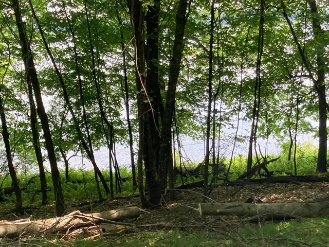 $699,900 | 0 200th St Lake Park, Lake Park, MN 56554