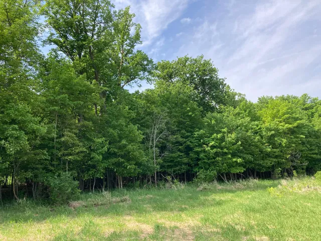 $699,900 | 0 200th St Lake Park, Lake Park, MN 56554