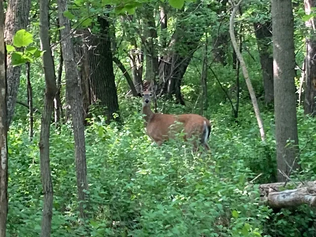 $699,900 | 0 200th St Lake Park, Lake Park, MN 56554