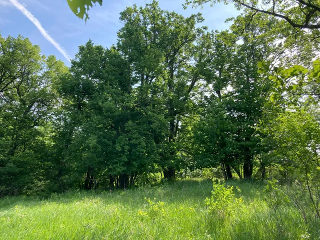 $699,900 | 0 200th St Lake Park, Lake Park, MN 56554