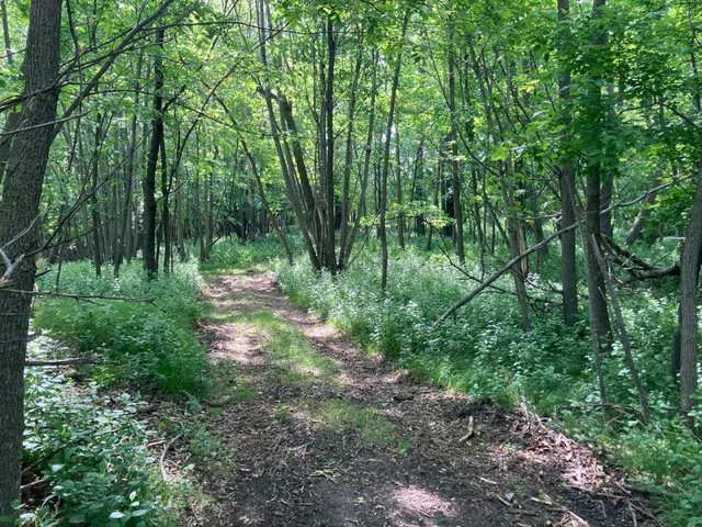 $699,900 | 0 200th St Lake Park, Lake Park, MN 56554