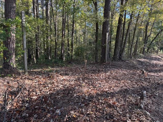 1213 Liberty Road Natchez, MS 39120 - Photo 11 of 13 Photo 11