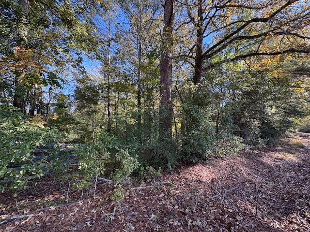 1213 Liberty Road Natchez, MS 39120 - Photo 12 of 13 Photo 12