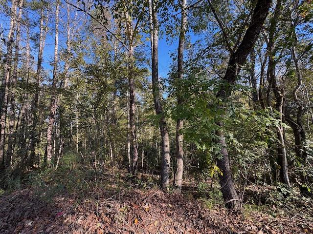 1213 Liberty Road Natchez, MS 39120 - Photo 3 of 13 Photo 3