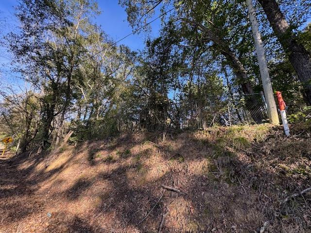 1213 Liberty Road Natchez, MS 39120 - Photo 6 of 13 Photo 6