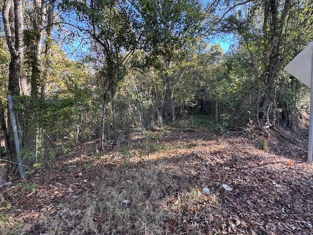 1213 Liberty Road Natchez, MS 39120 - Photo 8 of 13 Photo 8