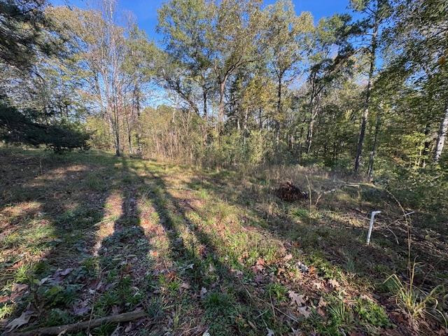 1213 Liberty Road Natchez, MS 39120 - Photo 9 of 13 Photo 9