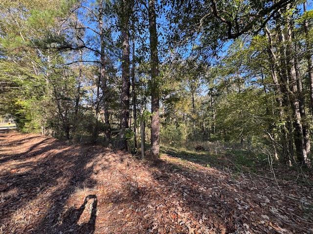 1213 Liberty Road Natchez, MS 39120 - Photo 10 of 13 Photo 10