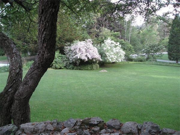 37 Draper Road Wayland, MA 01778 - Photo 10 of 12 Gallery Image 10
