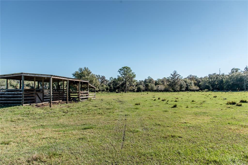 437 Bronco Road Zolfo Springs, FL 33890 - Photo 1 of 1 a view of a yard
