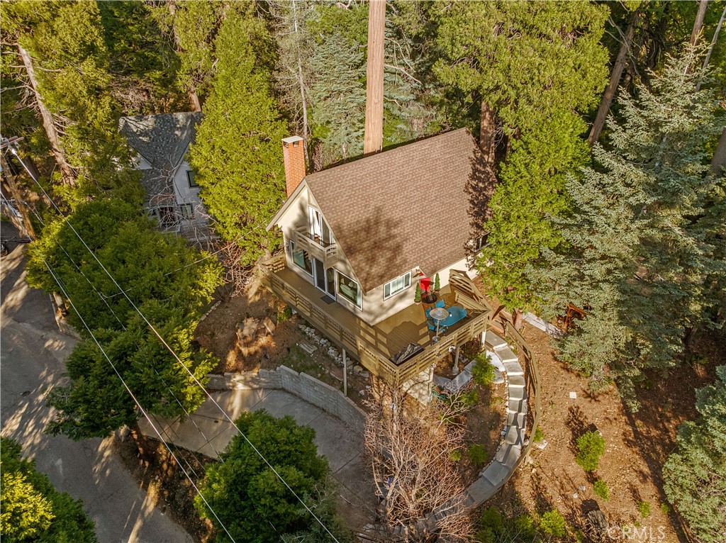 225 Fremont Road Lake Arrowhead, CA 92352 - Photo 5 of 49