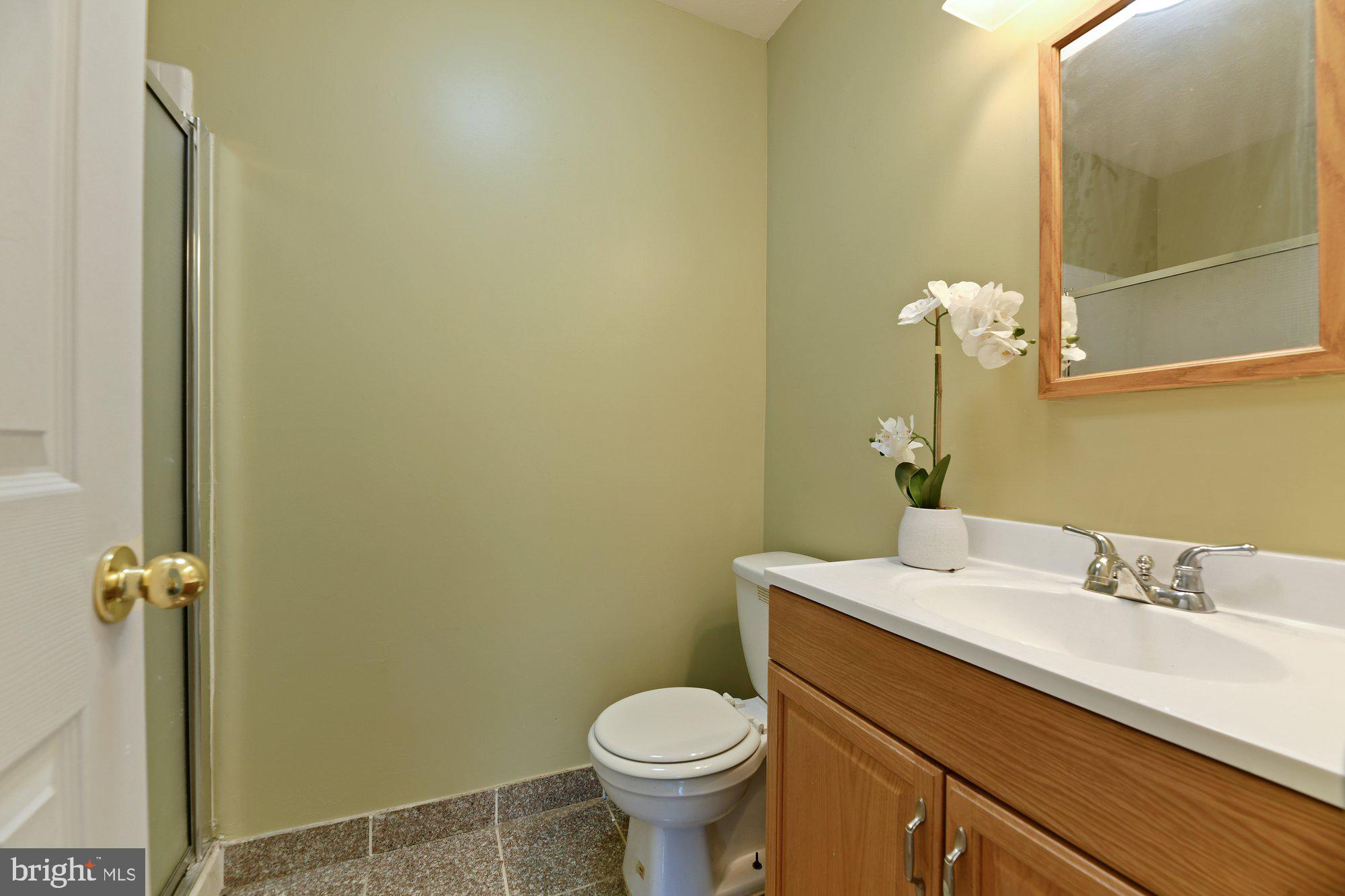 839 Lowe Road Baltimore, MD 21220 - Photo 23 of 30 3rd Full Bath