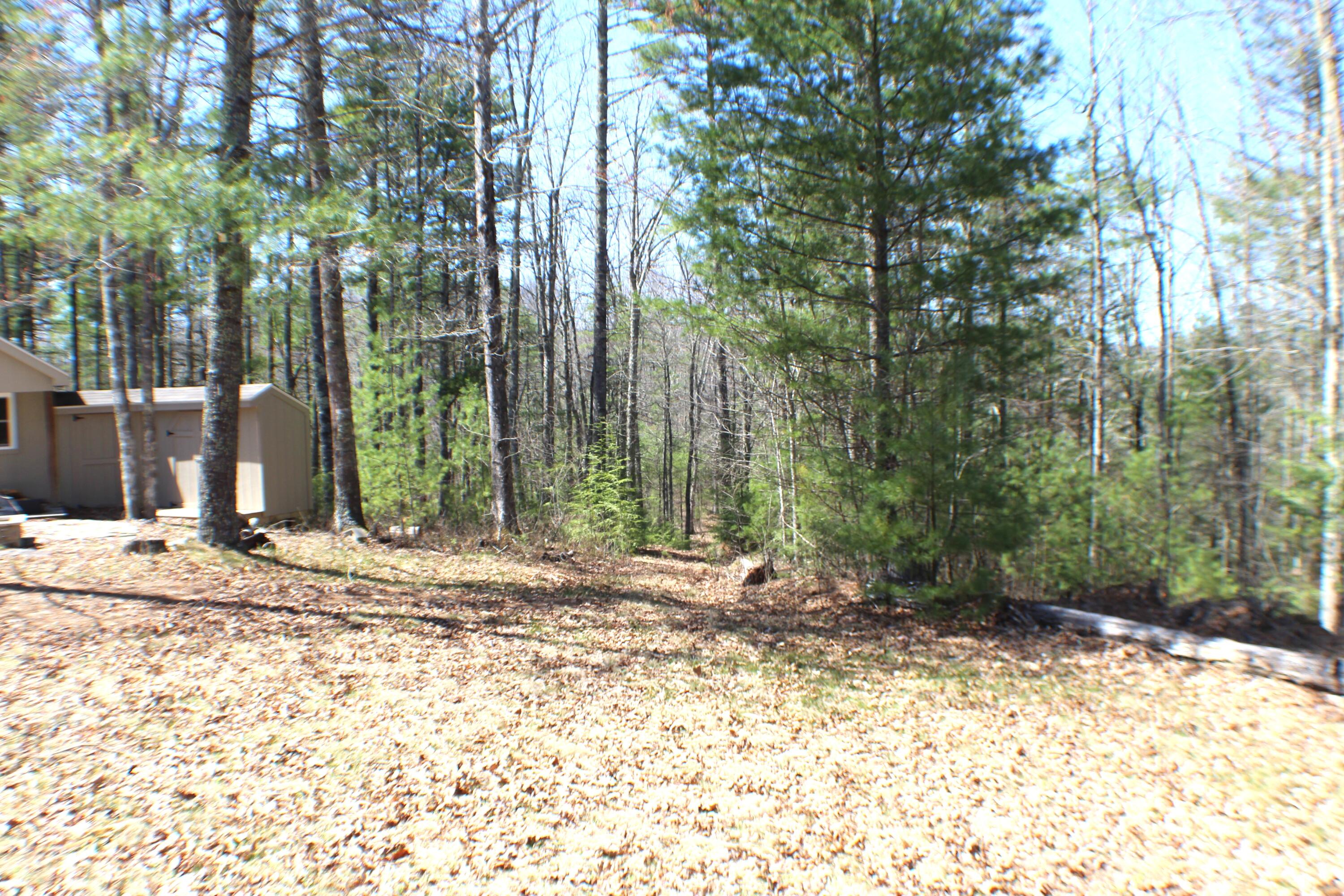 445 Rider Gap Road Marlinton, WV 24954 - Photo 18 of 26 Gallery Image 18