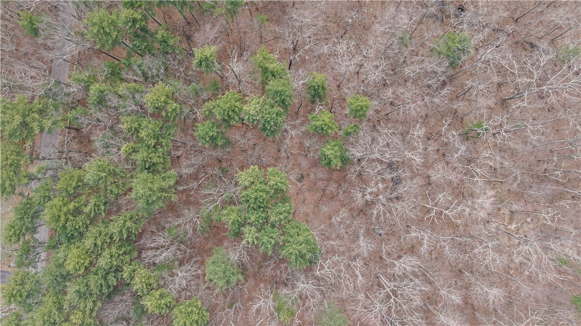 0 Hammet Road Coventry, RI 02816 - Photo 4 of 8 Bird's Eye View