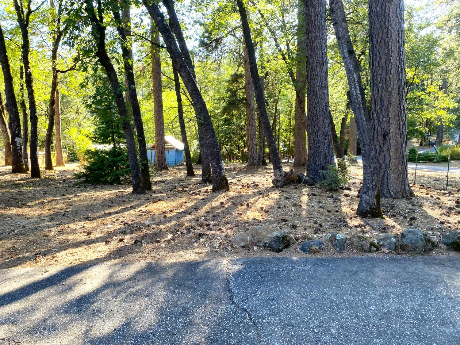 14405 Talking Pines Road Grass Valley, CA 95945 - Photo 3 of 17