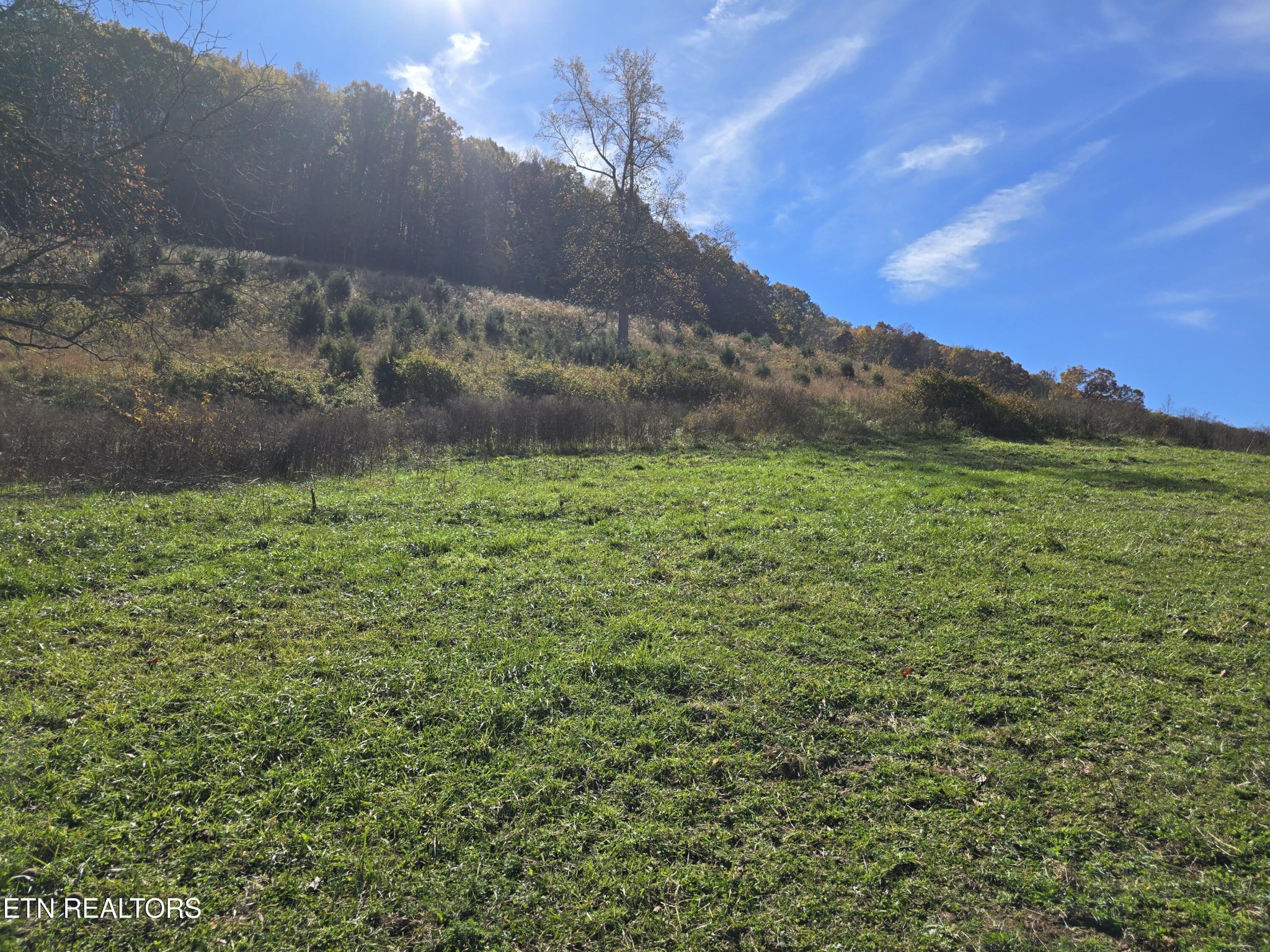 2391 Hogskin Road Washburn, TN 37888 - Photo 19 of 30 Gallery Image 19