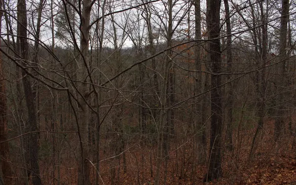 $27,235 | 20 Thunder Road, Blue Ridge, GA 30513