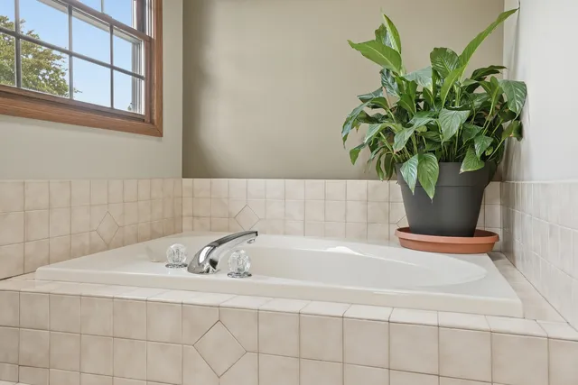 a white bath tub with a plant