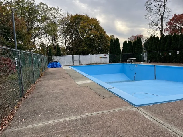 a view of backyard with swimming pool and trees in the background