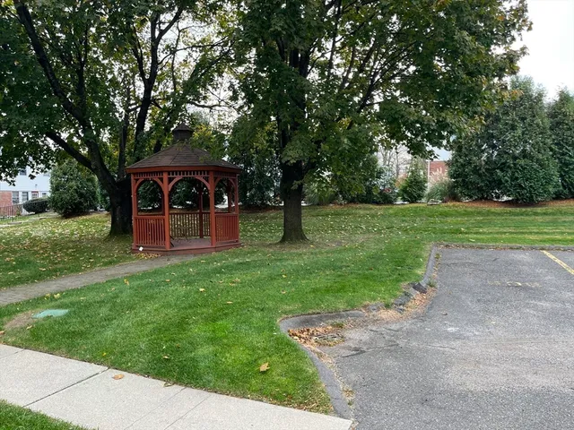 a view of a garden with a tree