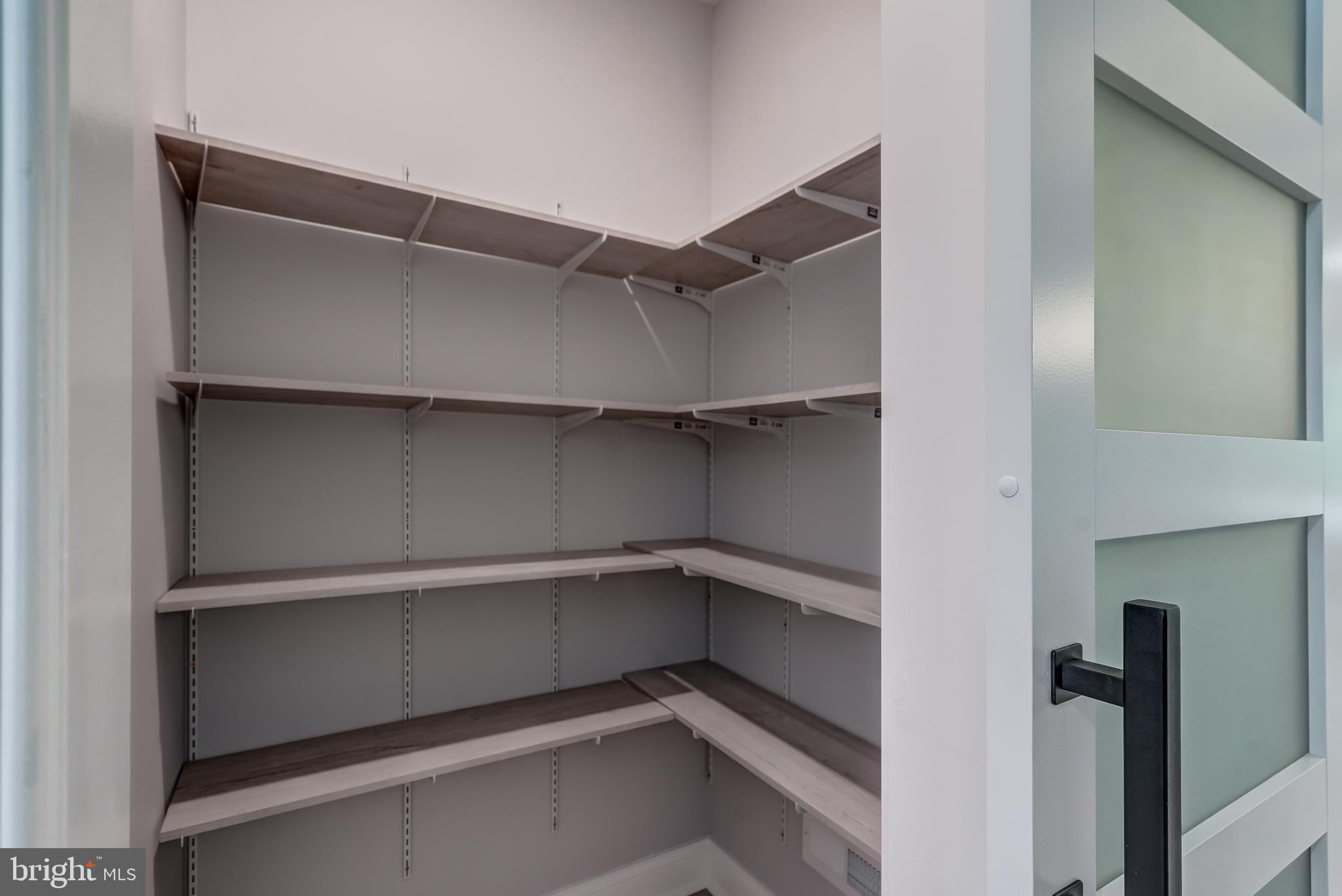 50 Retriever Court Bumpass, VA 23024 - Photo 30 of 77 a view of walk in closet with empty racks