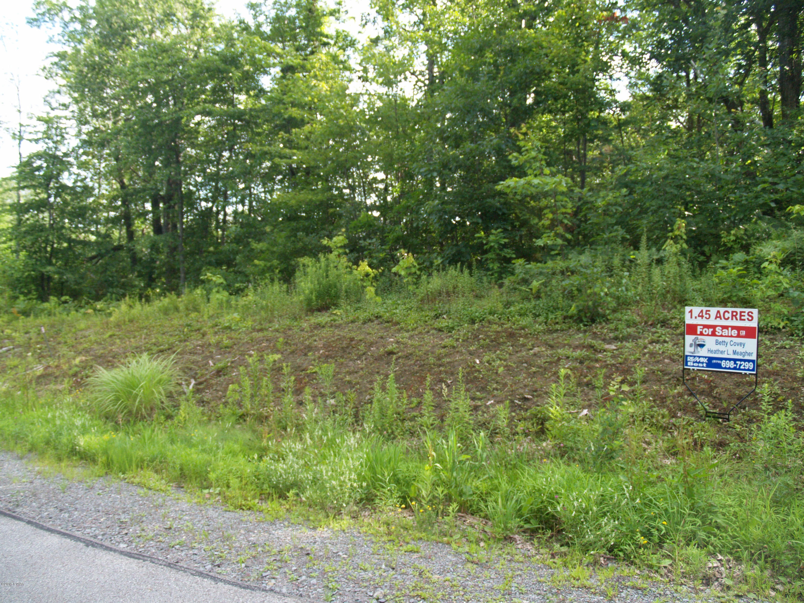 L95 Windsor Way Moscow, PA 18444 - Photo 6 of 6