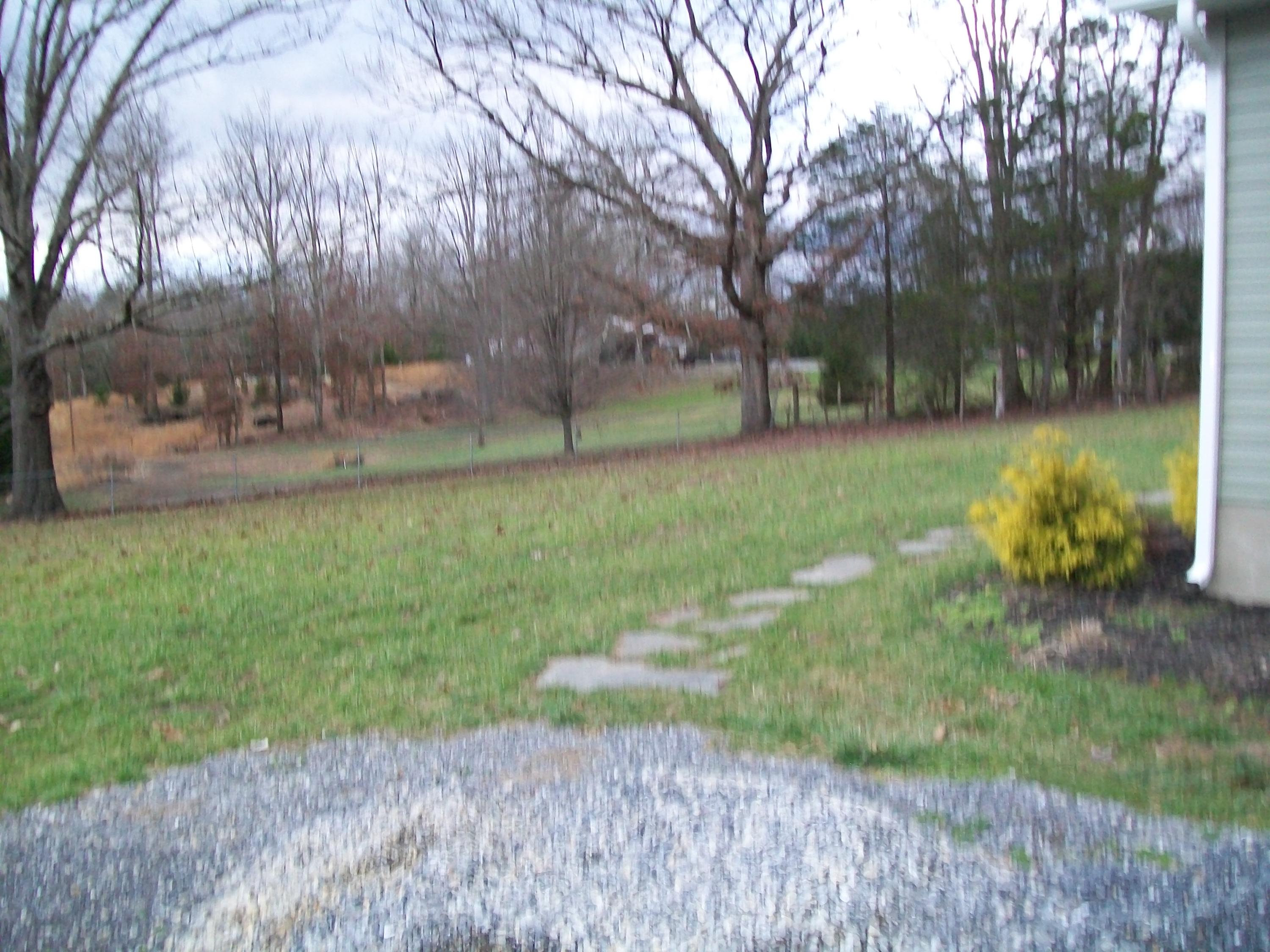 207 Timber Ridge Fincastle, VA 24090 - Photo 24 of 28 Front yard