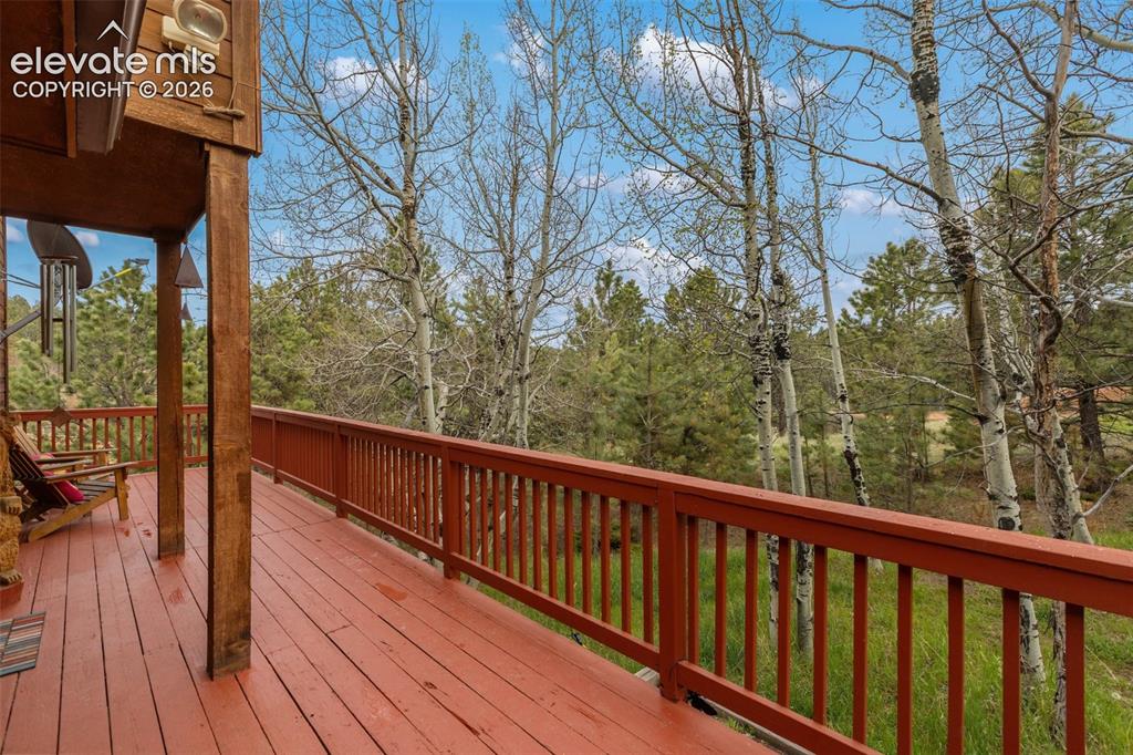 996 Spring Valley Drive Divide, CO 80814 - Photo 4 of 47