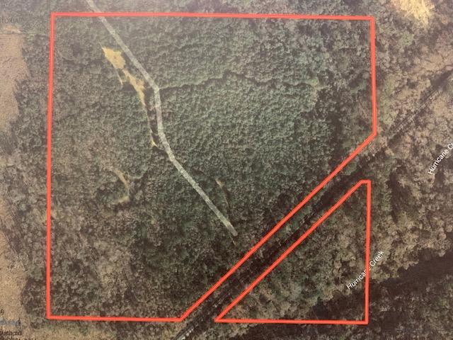 0 Sigma Pit Road Columbia, AL 36319 - Photo 1 of 1