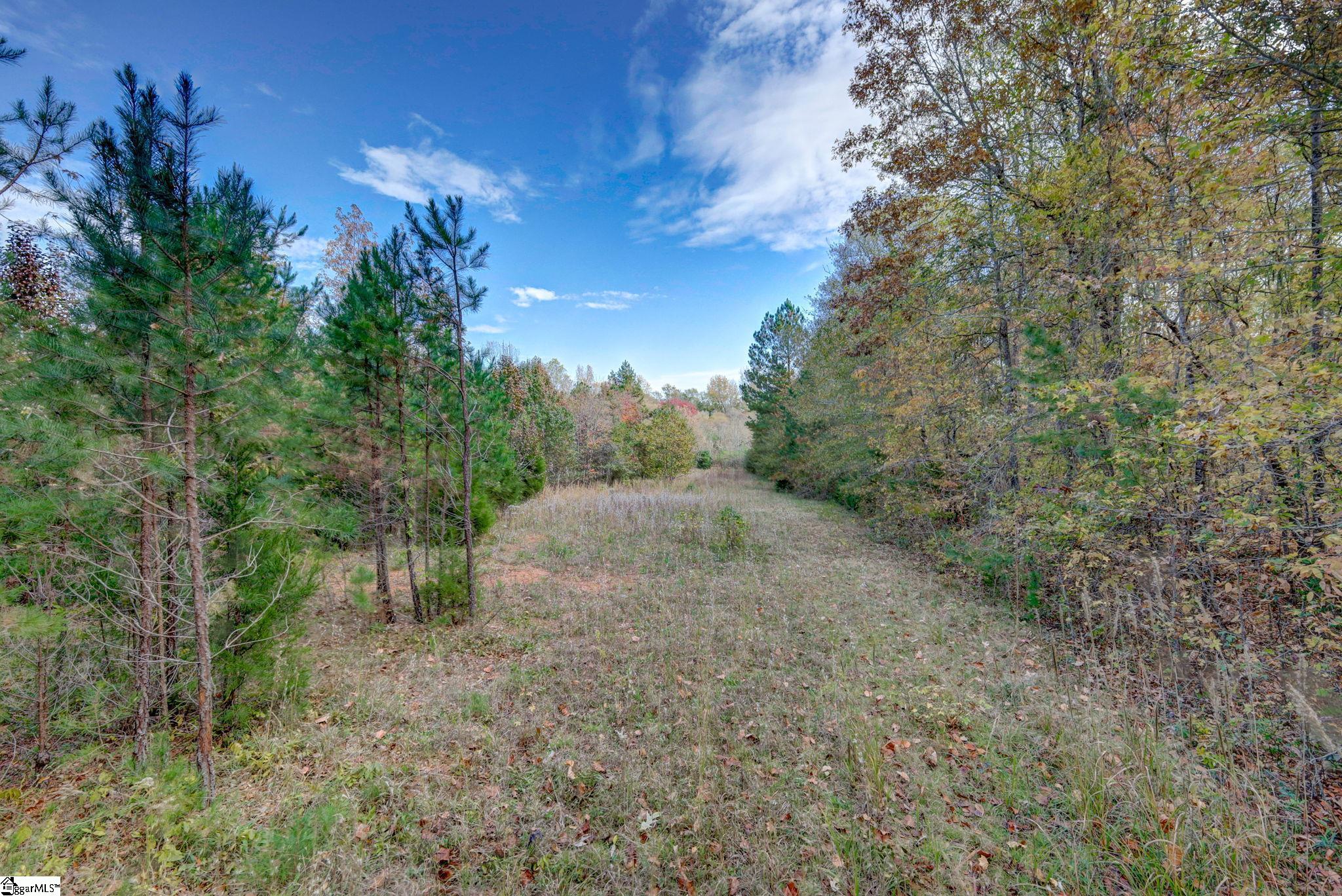 841 Sauer Farm Road Honea Path, SC 29654 - Photo 14 of 16