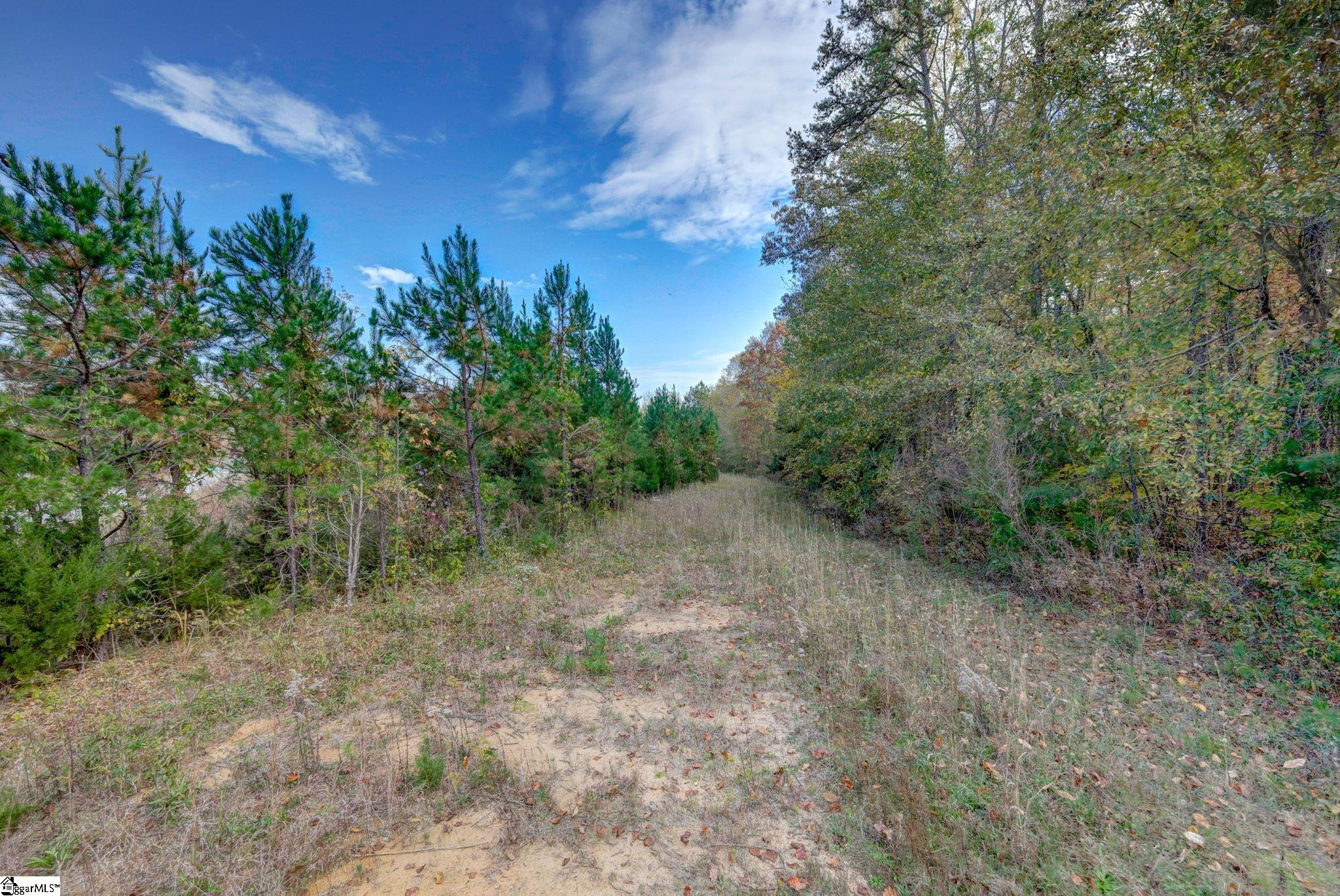 841 Sauer Farm Road Honea Path, SC 29654 - Photo 15 of 16