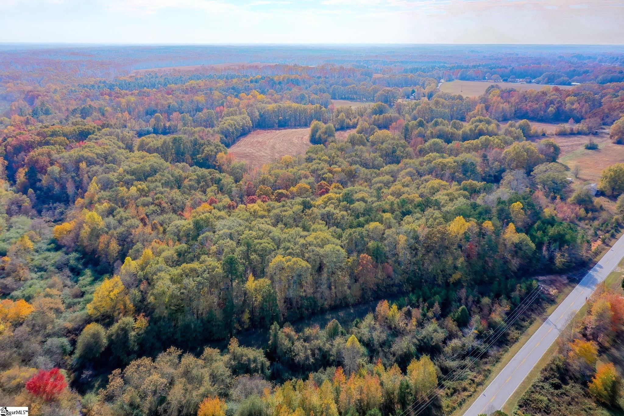 841 Sauer Farm Road Honea Path, SC 29654 - Photo 3 of 16