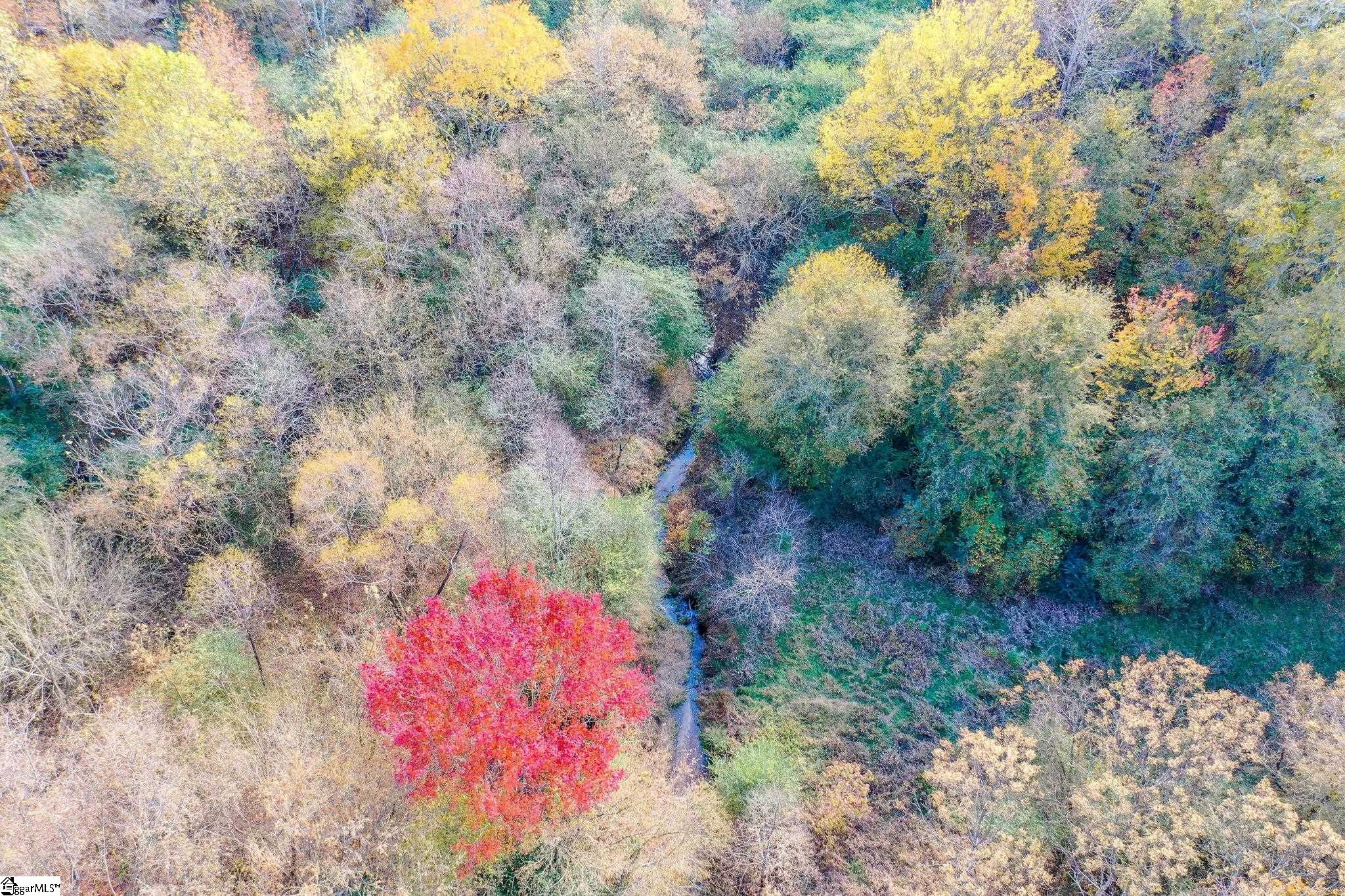 841 Sauer Farm Road Honea Path, SC 29654 - Photo 4 of 16