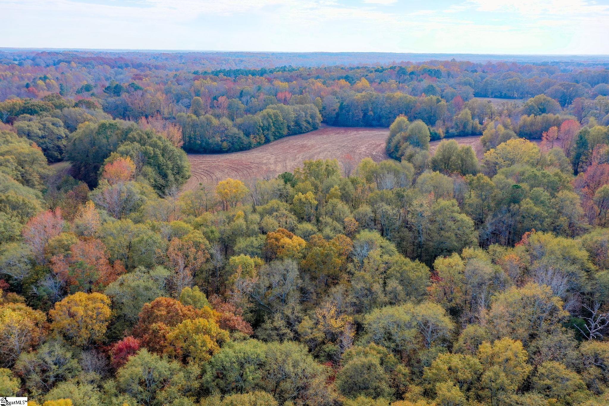 841 Sauer Farm Road Honea Path, SC 29654 - Photo 6 of 16