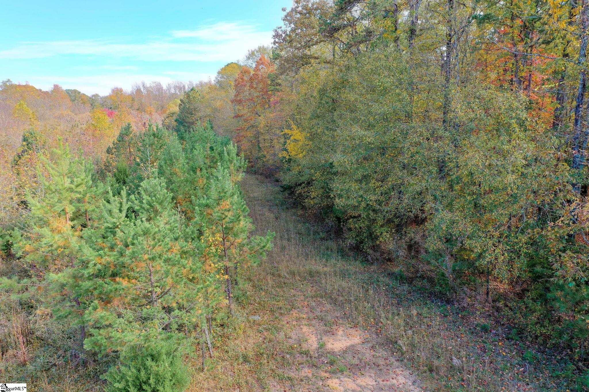 841 Sauer Farm Road Honea Path, SC 29654 - Photo 7 of 16