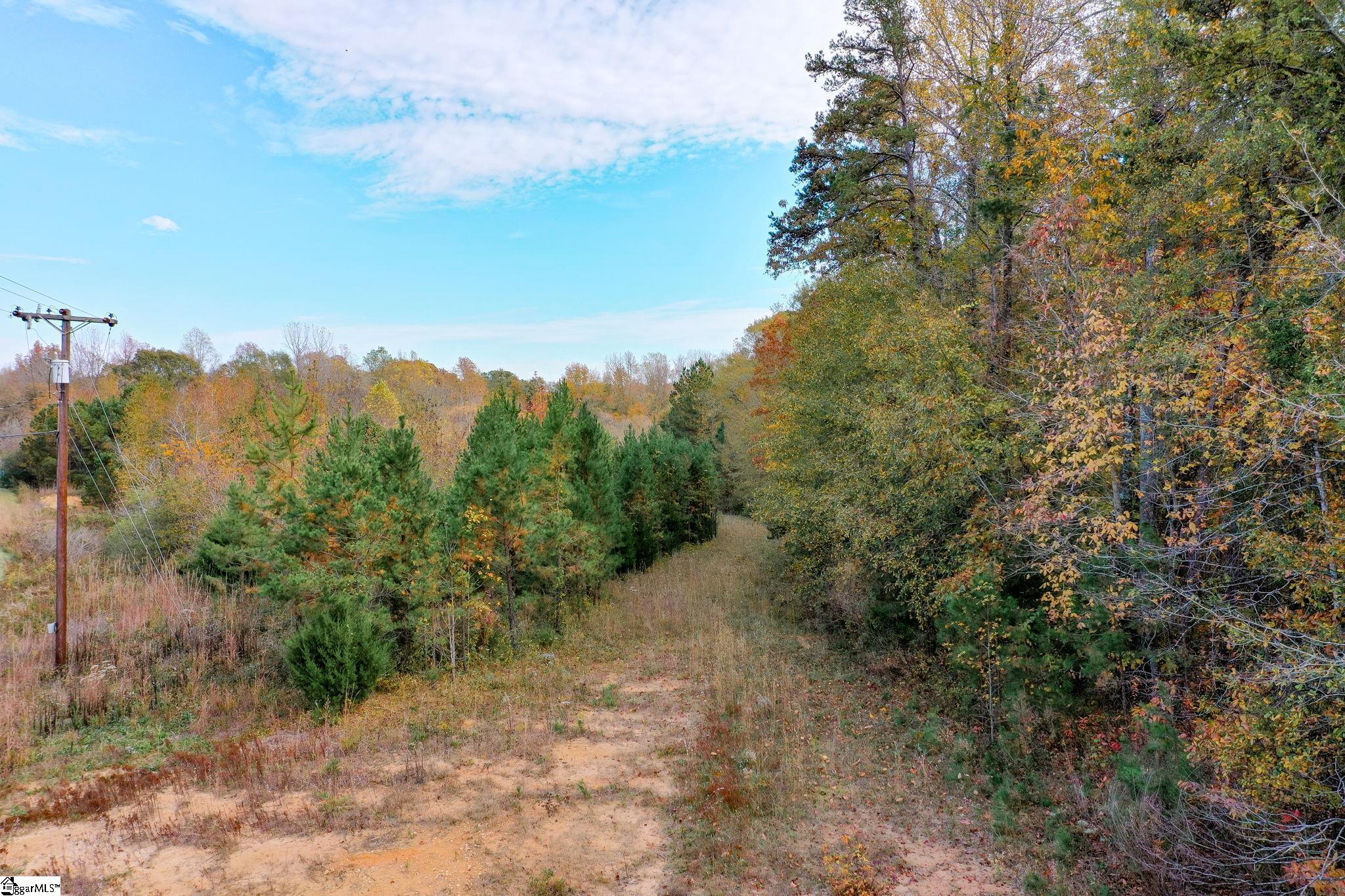 841 Sauer Farm Road Honea Path, SC 29654 - Photo 8 of 16