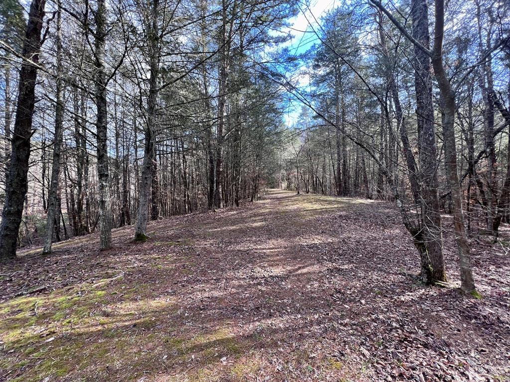 3148 Russie Gap Road Sevierville, TN 37862 - Photo 54 of 63 Gallery Image 54