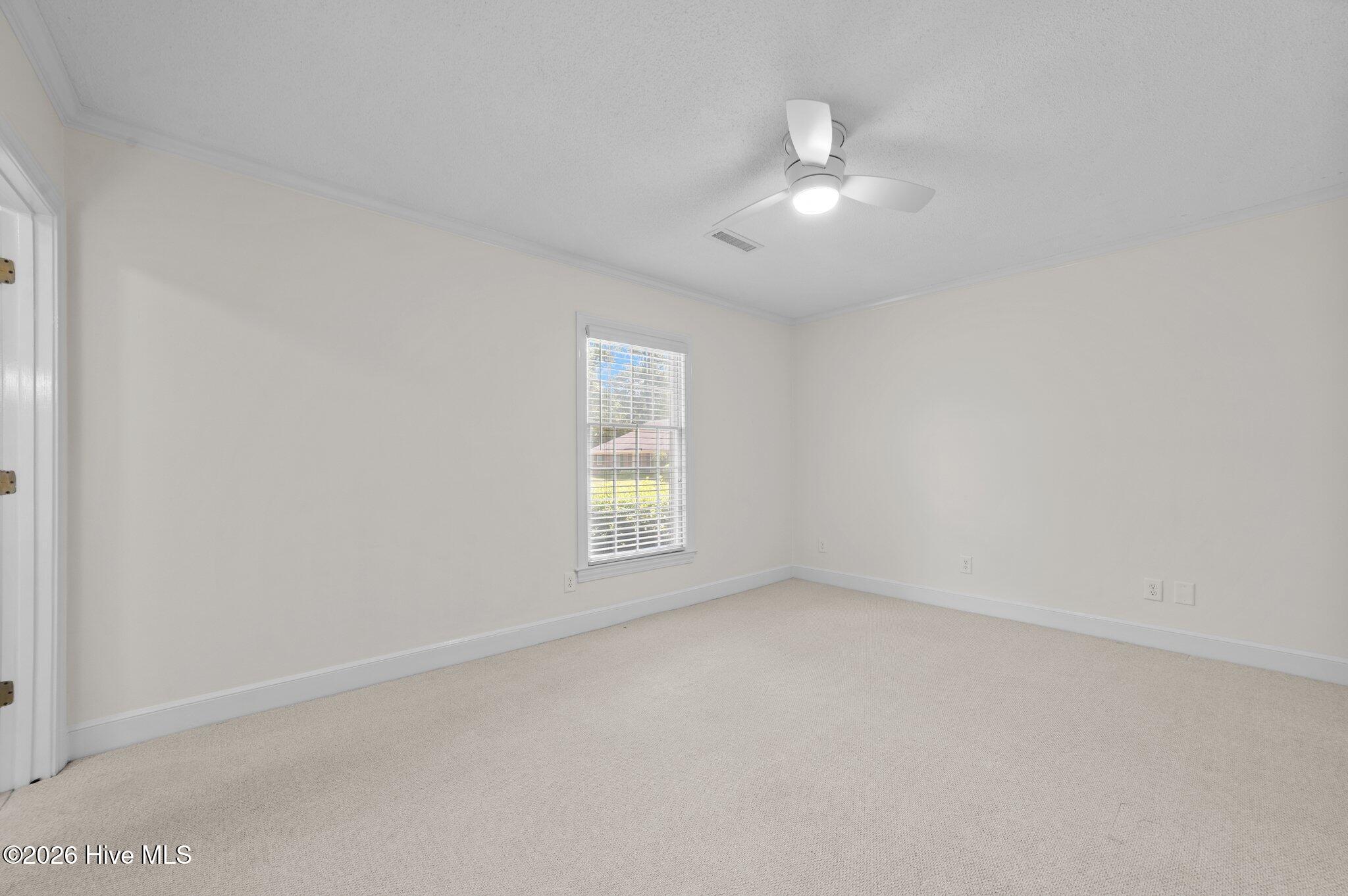 809 Greenbriar Road Kinston, NC 28501 - Photo 38 of 47 38-web-or-mls-LHV_0109