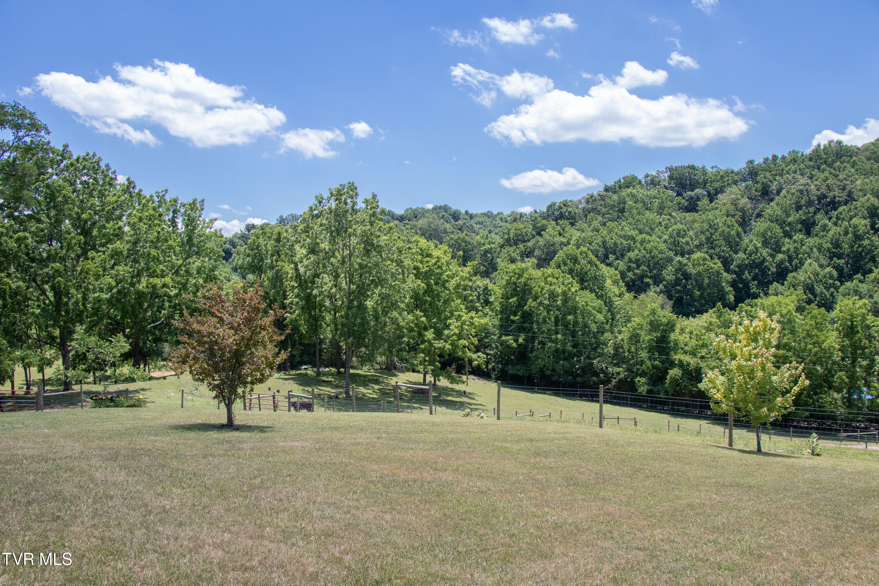 27069 Northridge Road Meadowview, VA 24361 - Photo 19 of 61 Northridge-19