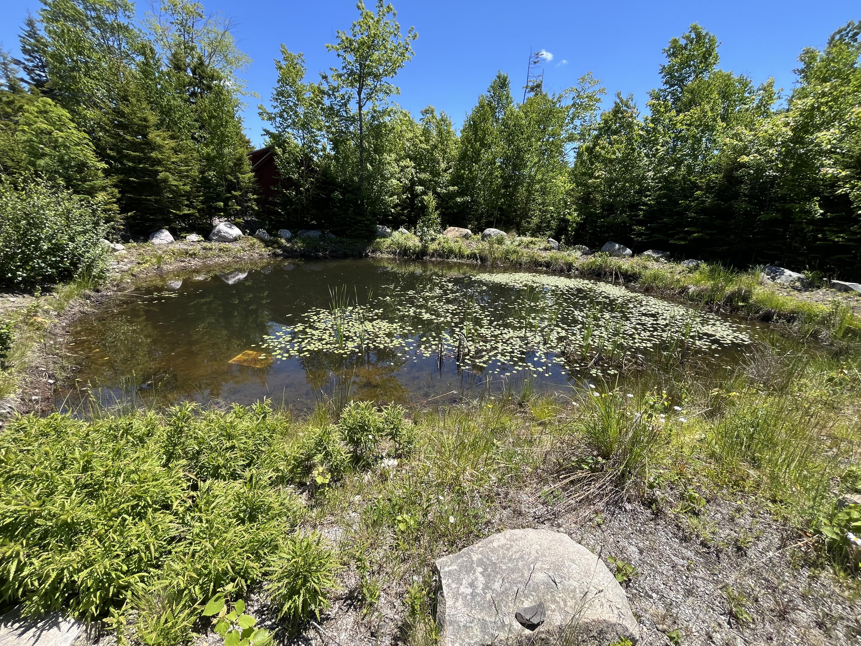 35 Peninsula Shore Road Gouldsboro, ME 04624 - Photo 26 of 26