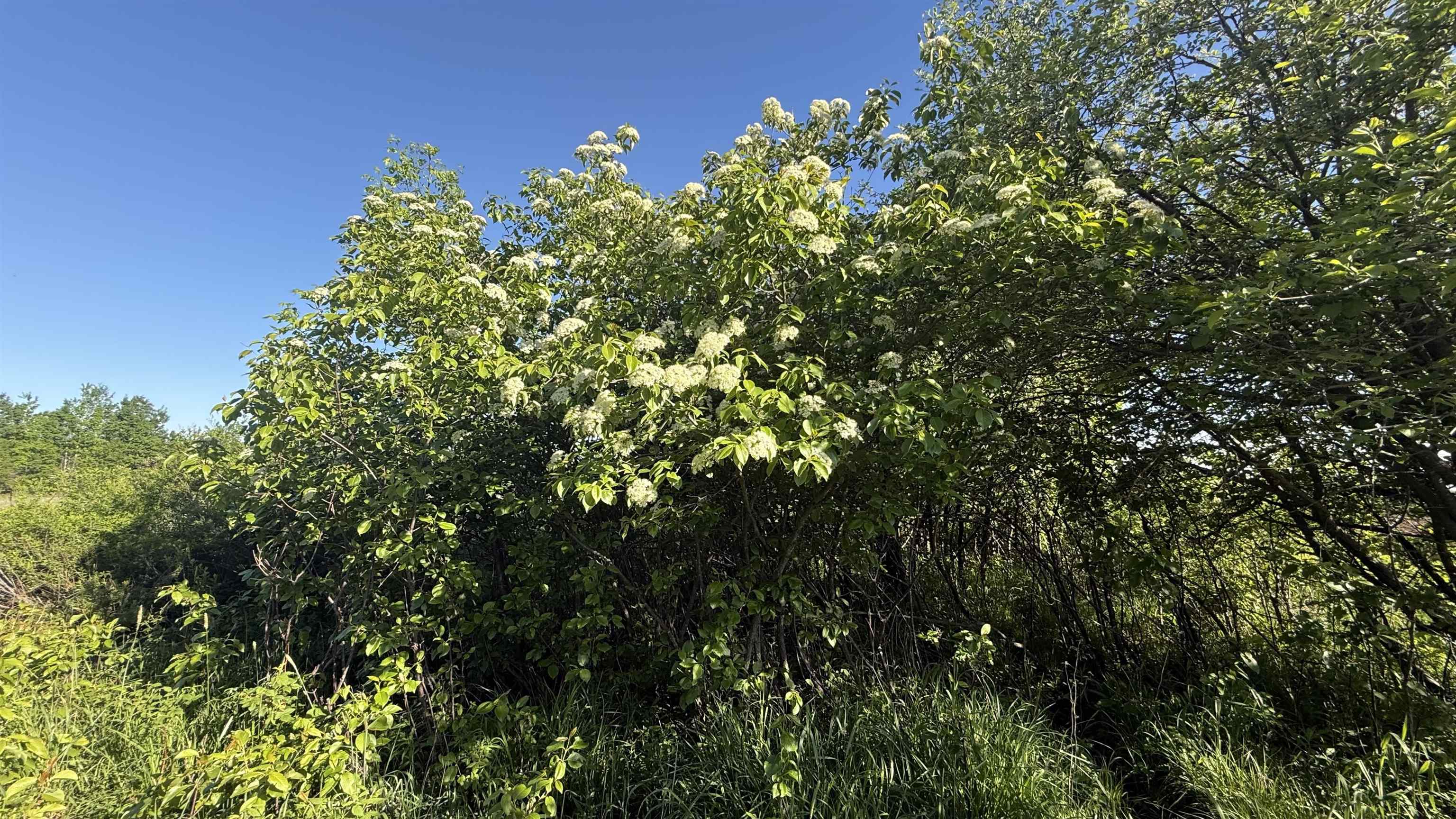 Lot 1 County Road Z Ringle, WI 54471 - Photo 12 of 22