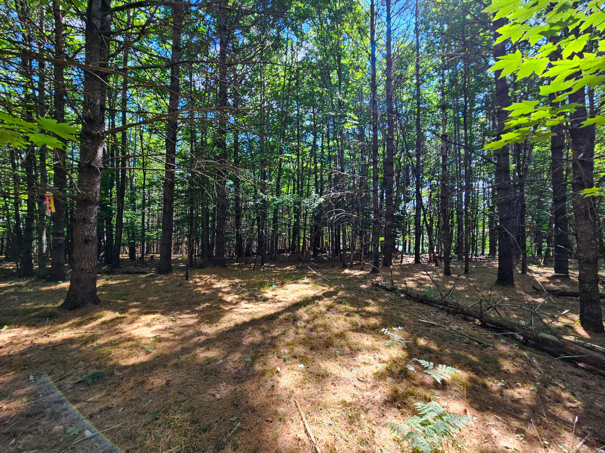 11-31-c Stone Hill Road Farmington, ME 04938 - Photo 12 of 22