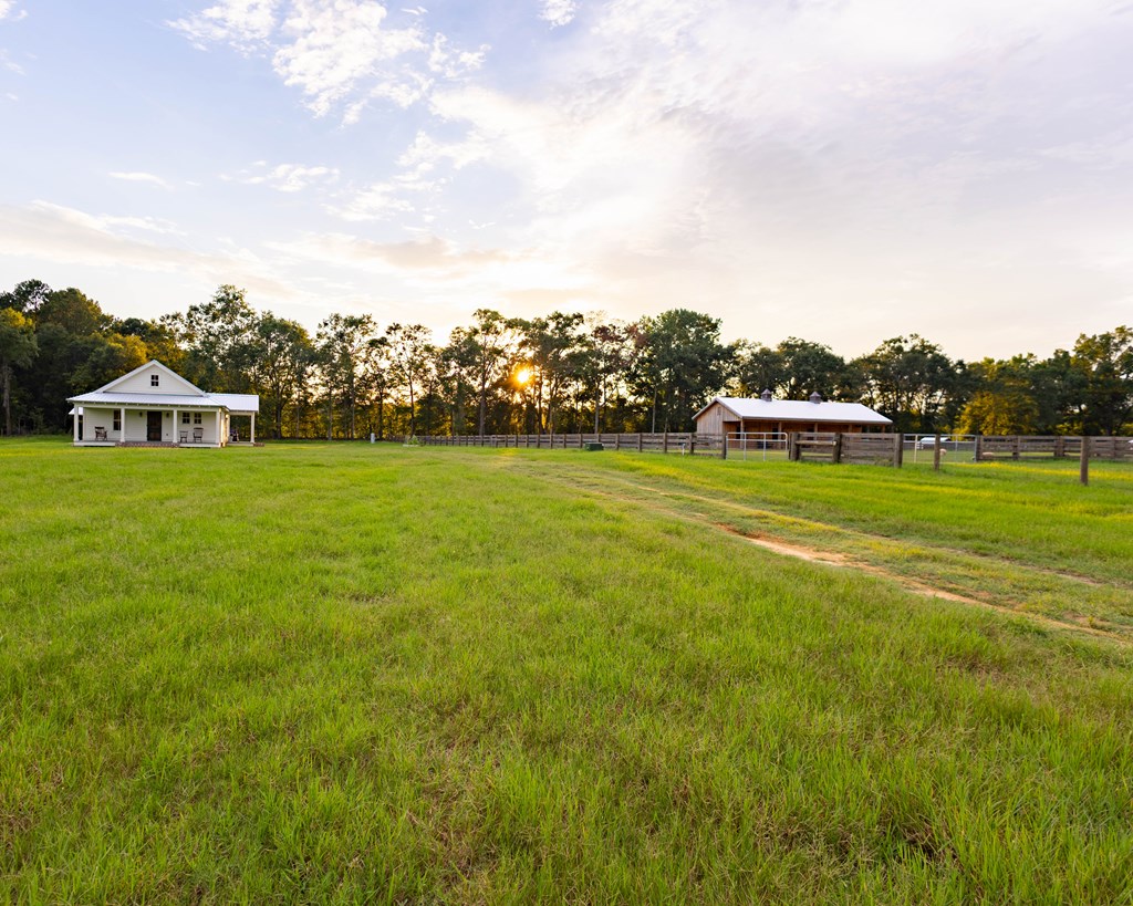 3476 Eddins Road Dothan, AL 36301 - Photo 63 of 65