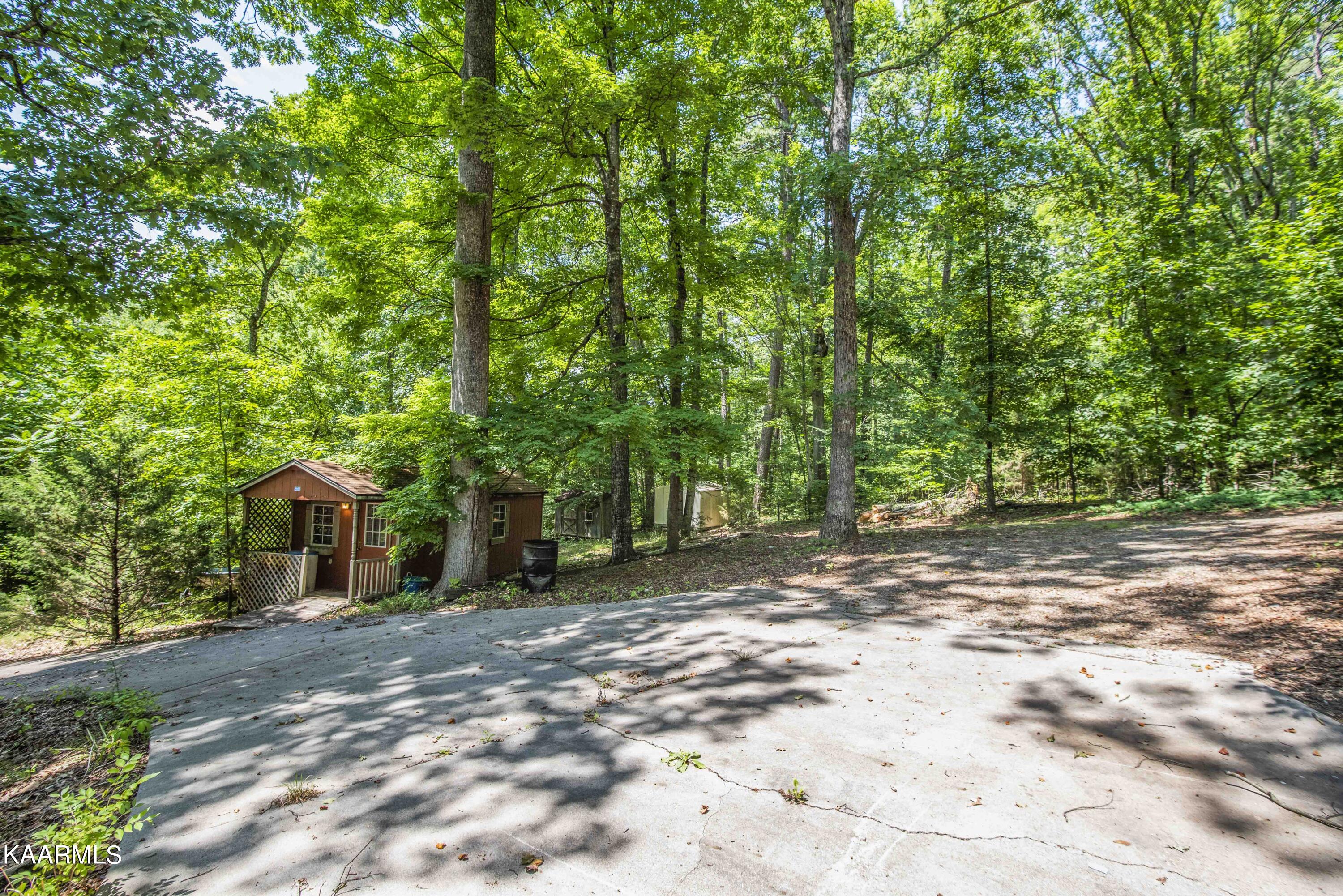 235 Carmichael Road Kodak, TN 37764 - Photo 30 of 41 yard 4_1