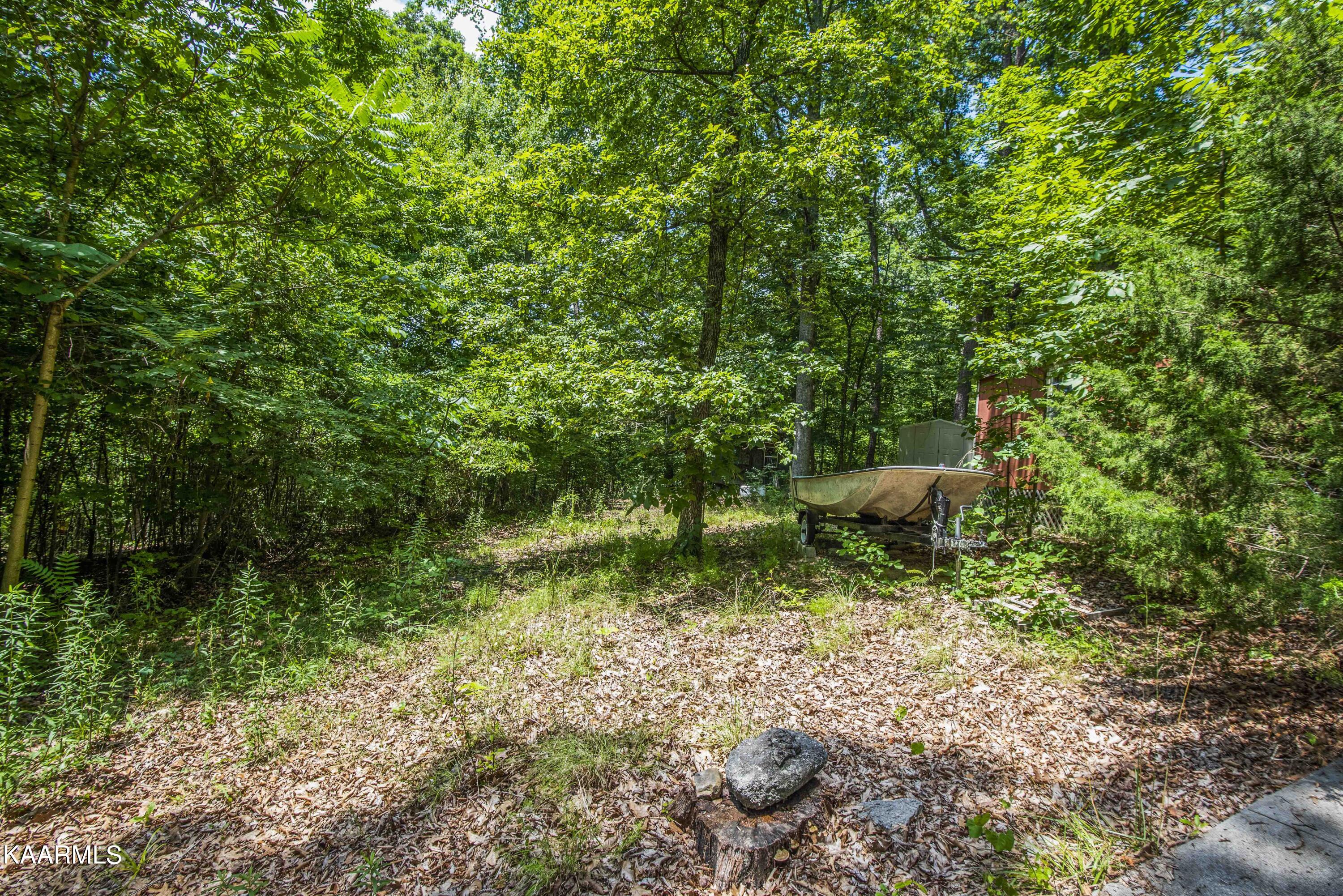 235 Carmichael Road Kodak, TN 37764 - Photo 33 of 41 yard_1