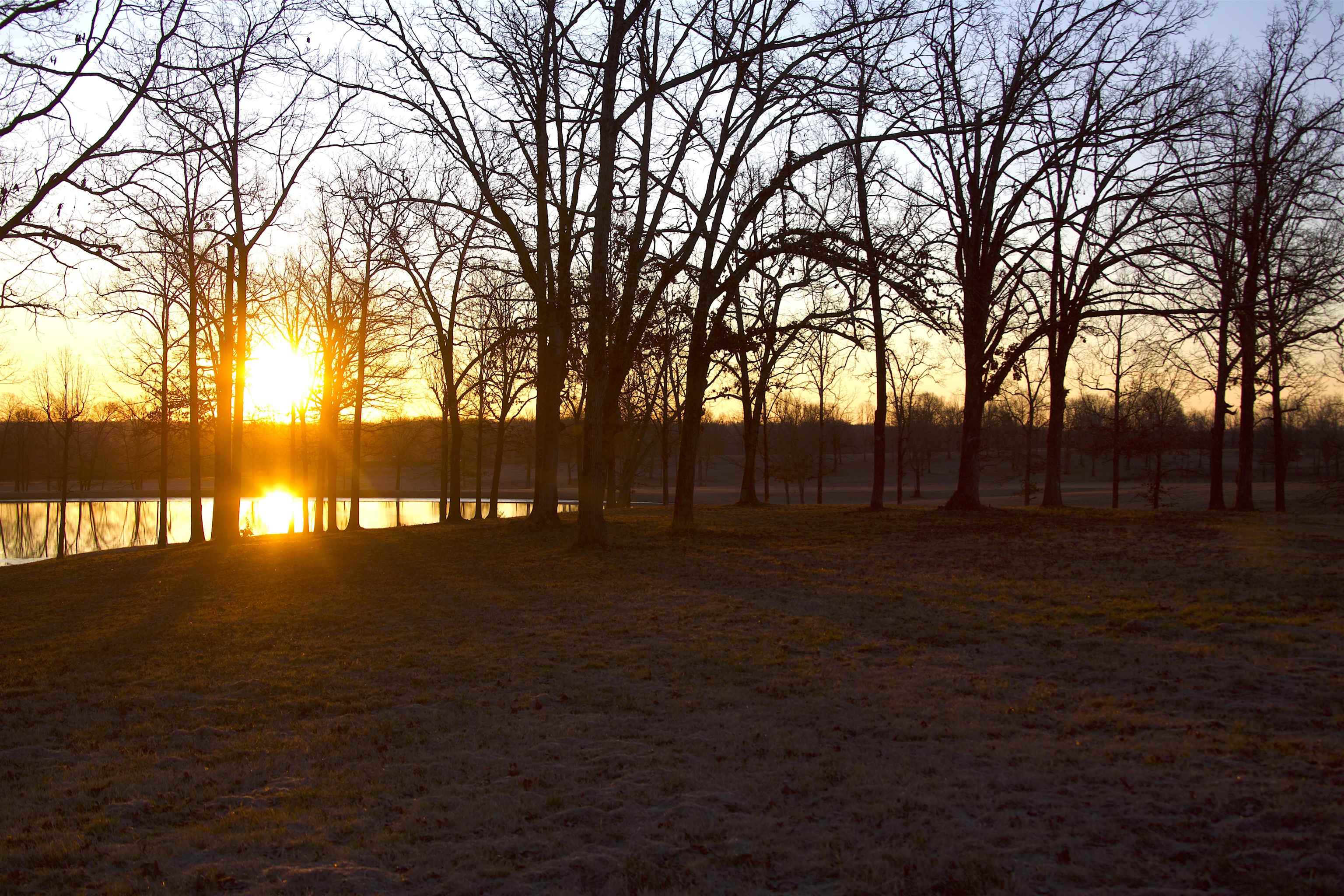 1865 Slayden Road Moscow, TN 38057 - Photo 20 of 30 View of yard with a water view